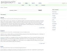 Tablet Screenshot of company.bigbigsoft.com